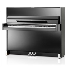 SCHIMMEL Classic C 116 Modern, черный