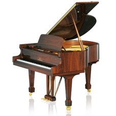 C. BECHSTEIN Academy A 160, орех