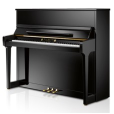 SCHIMMEL Wilhelm W 123 Tradition, черный